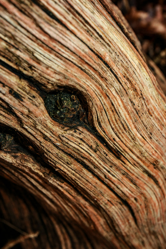 black stone on brown wood